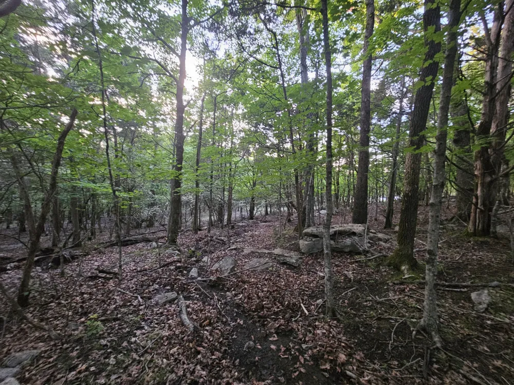 3 Sewanee Summit Road Decherd, TN 37324