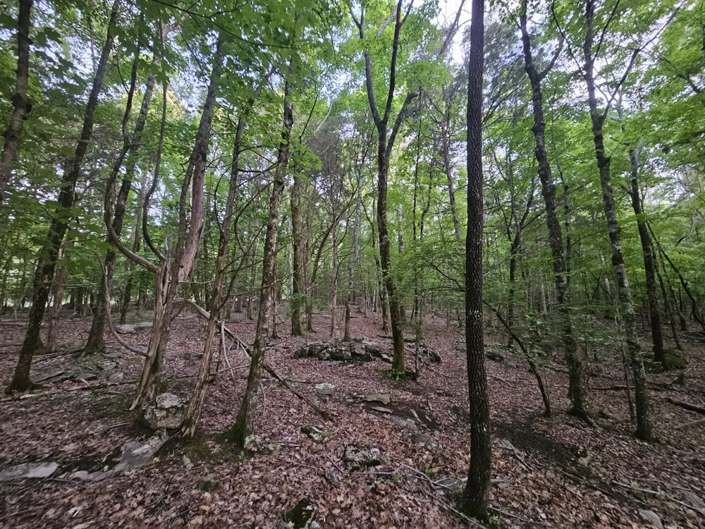 3 Sewanee Summit Road Decherd, TN 37324