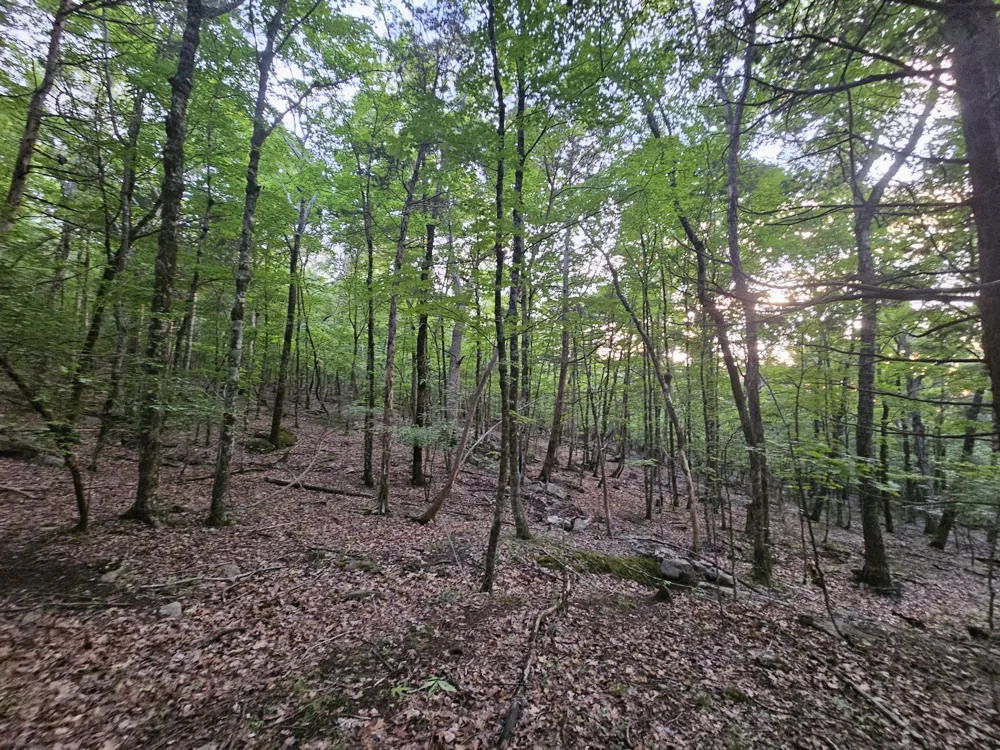 3 Sewanee Summit Road Decherd, TN 37324