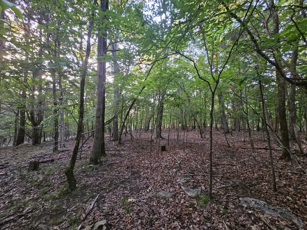 3 Sewanee Summit Road Decherd, TN 37324