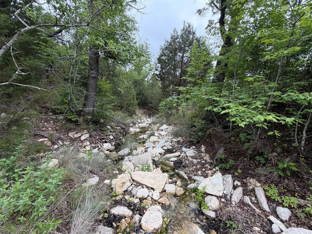 177 Sierra Drive Bertram, TX 78605
