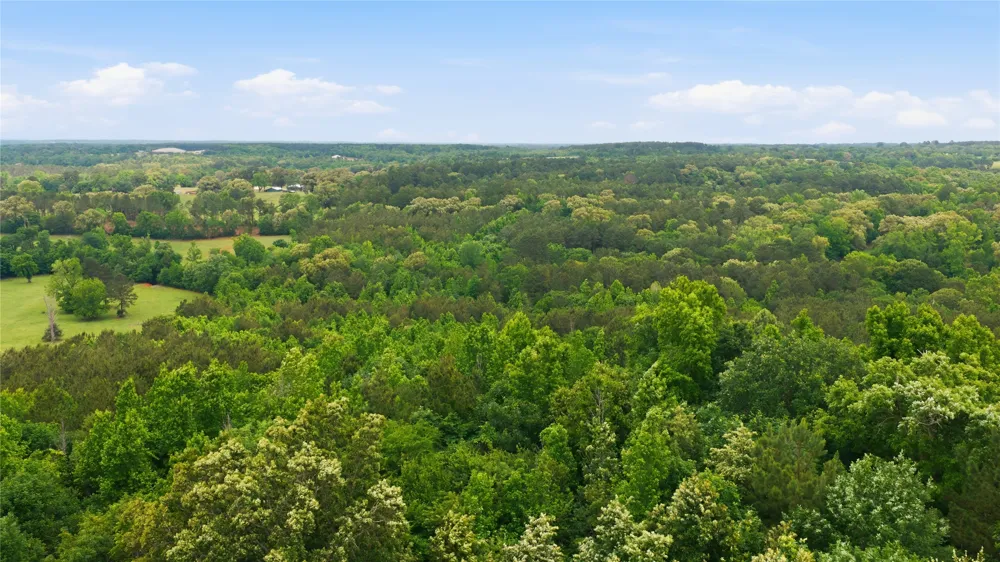 2287 CR 3402 Bullard, TX 75757