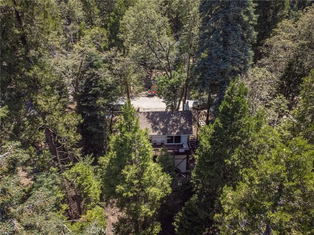 825 Lake View Lane Twin Peaks, CA 92391