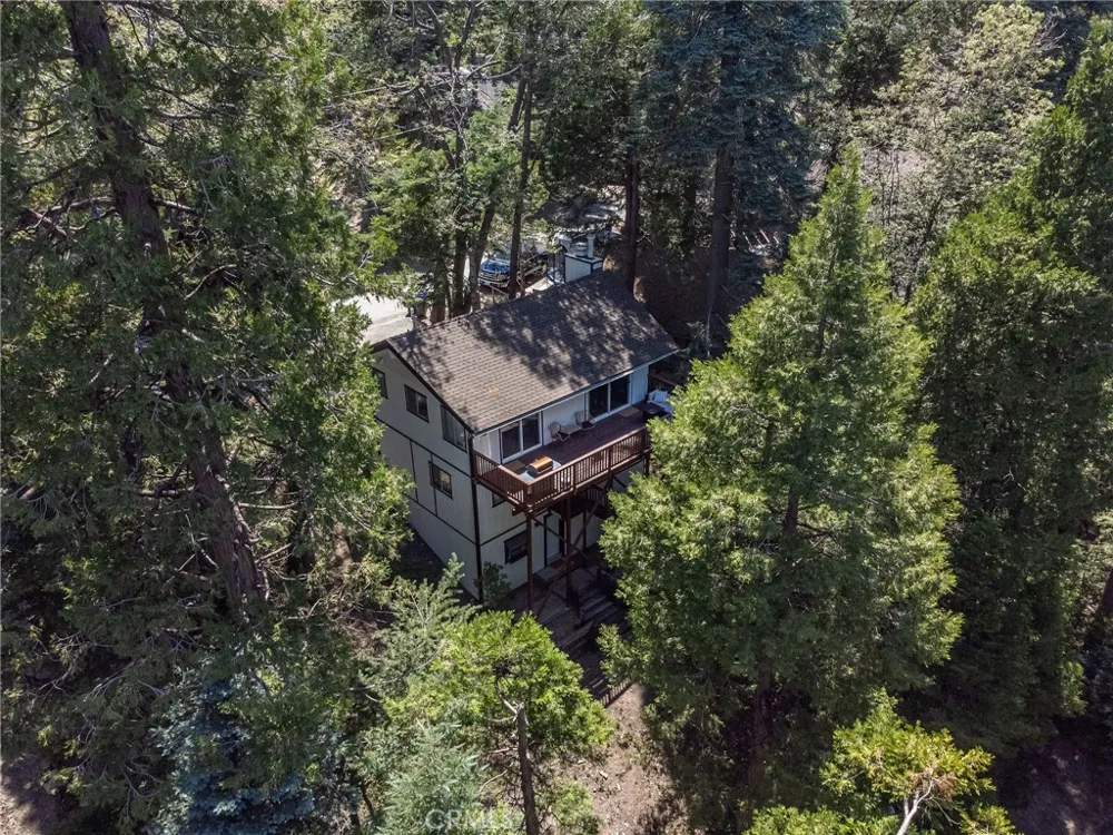 825 Lake View Lane Twin Peaks, CA 92391