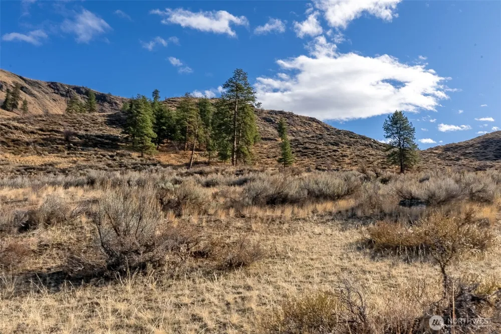 97 Thurlow Road Twisp, WA 98856