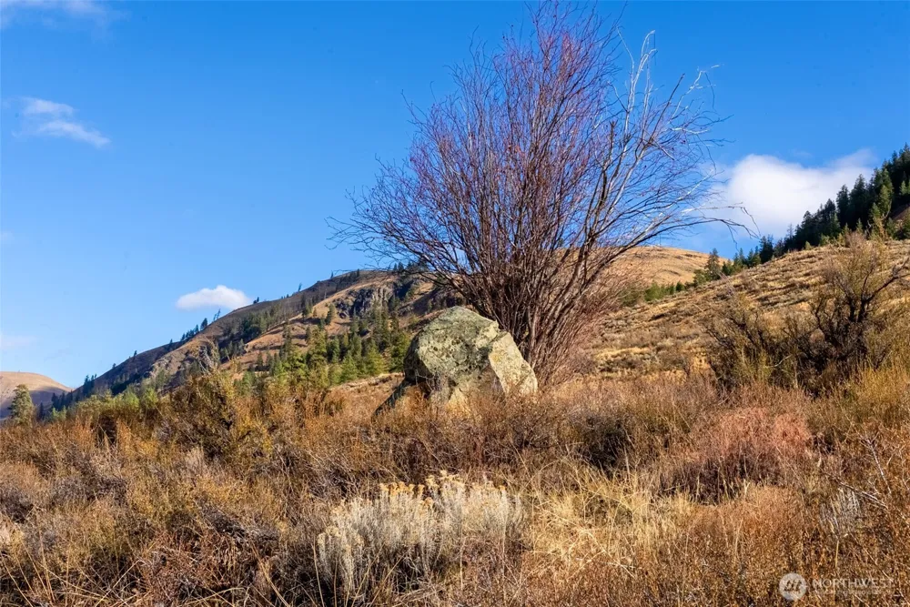 97 Thurlow Road Twisp, WA 98856