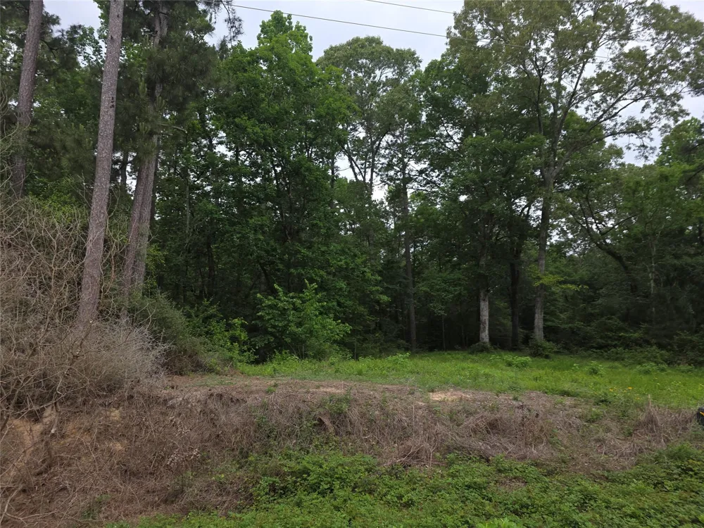 Hidden Oak Drive Point Blank, TX 77364