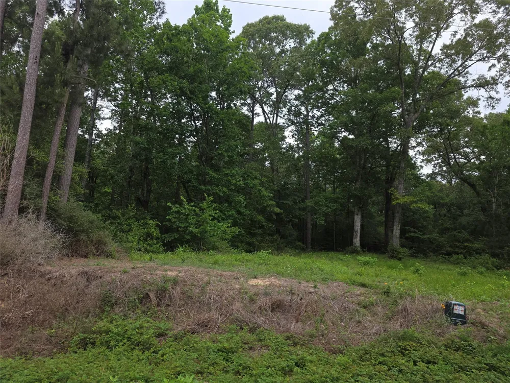 Hidden Oak Drive Point Blank, TX 77364