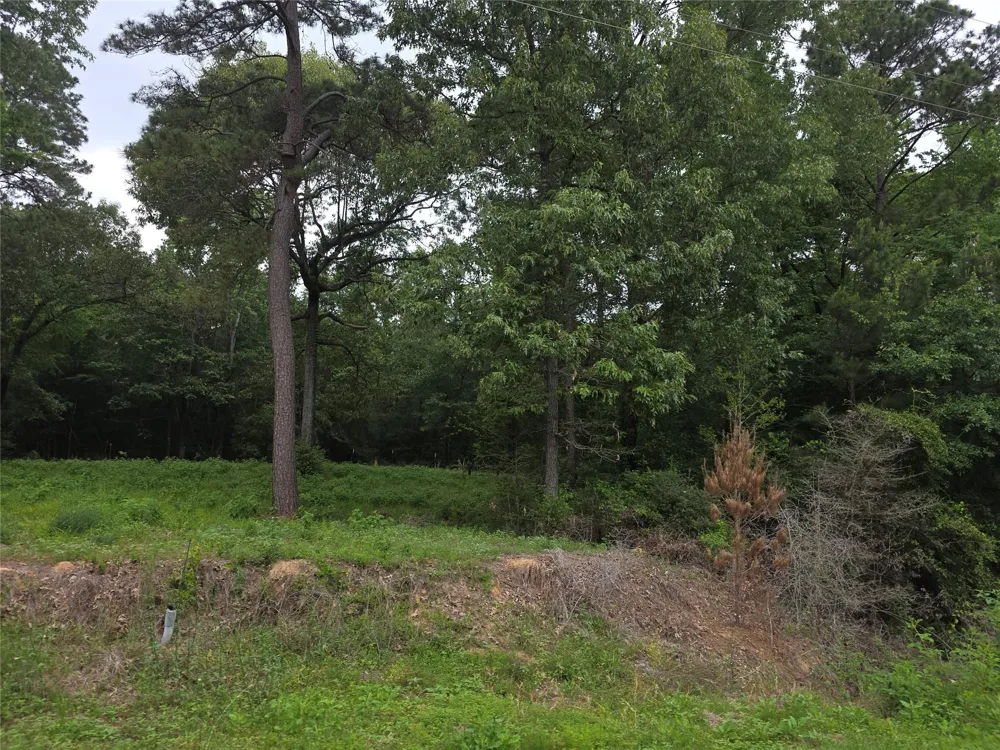 Hidden Oak Drive Point Blank, TX 77364