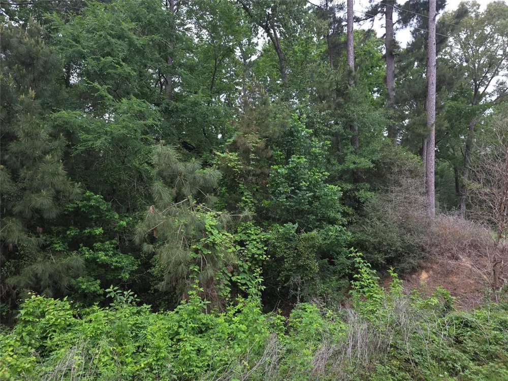 Hidden Oak Drive Point Blank, TX 77364