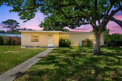 481 KENTIA ROAD