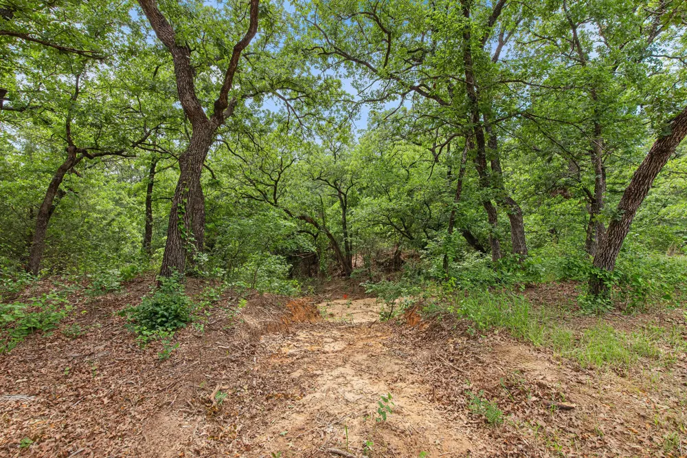 Private Road 3204 Bridgeport, TX 76426