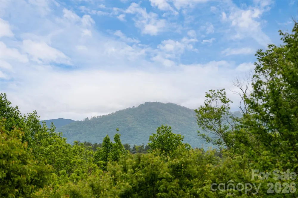 56 Donna Lane Alexander, NC 28701