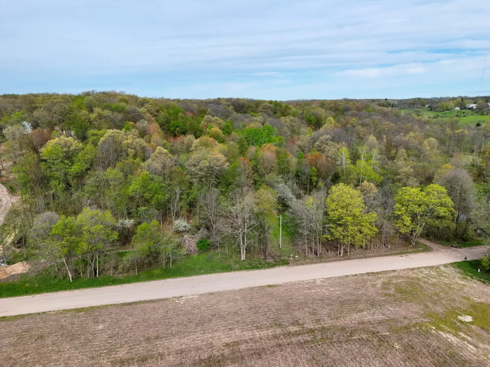 Biggs Avenue NE Lowell, MI 49331