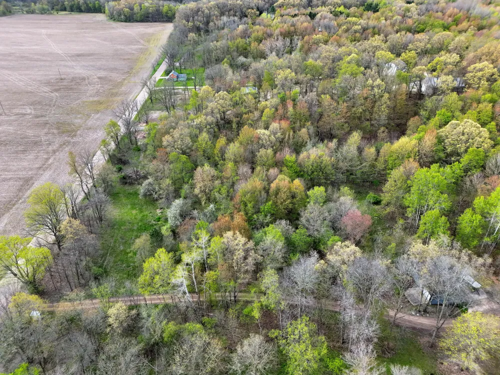 Biggs Avenue NE Lowell, MI 49331