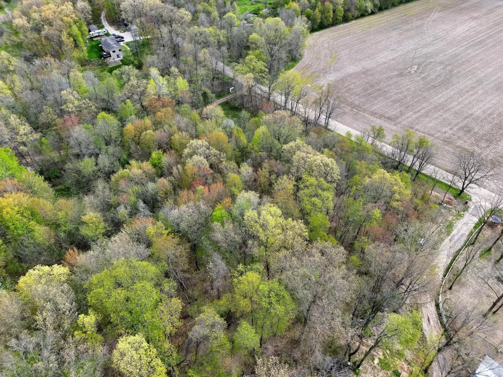Biggs Avenue NE Lowell, MI 49331