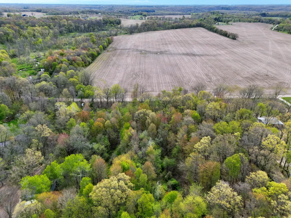 Biggs Avenue NE Lowell, MI 49331