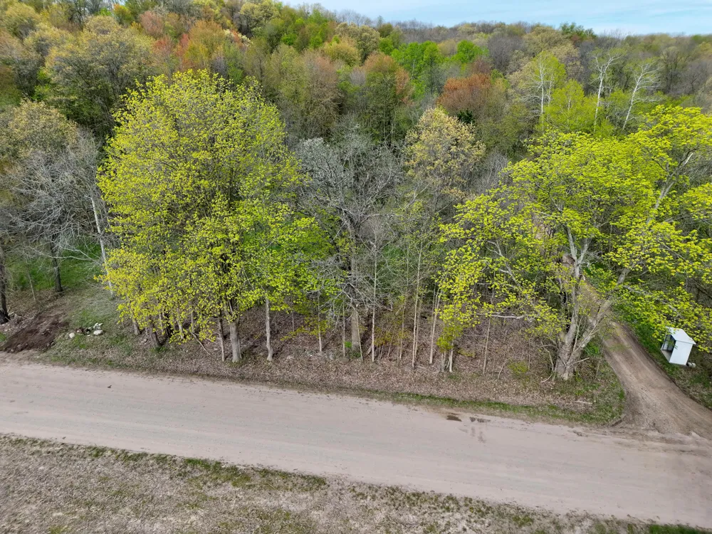 Biggs Avenue NE Lowell, MI 49331