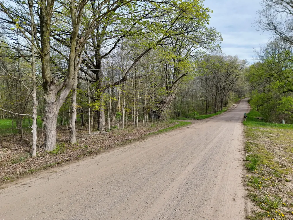 Biggs Avenue NE Lowell, MI 49331