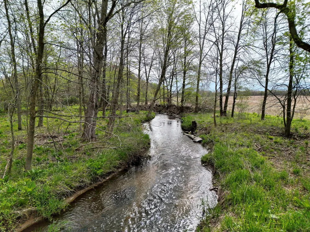 Biggs Avenue NE Lowell, MI 49331