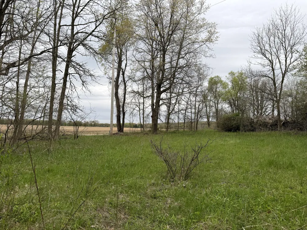 Biggs Avenue NE Lowell, MI 49331