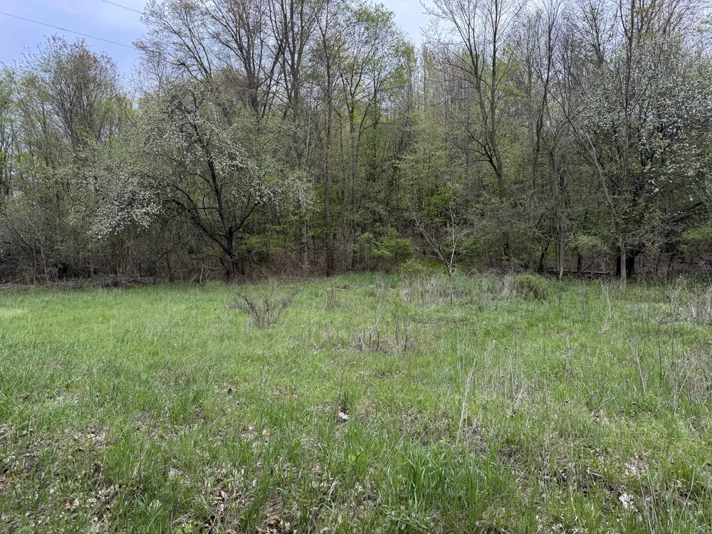 Biggs Avenue NE Lowell, MI 49331