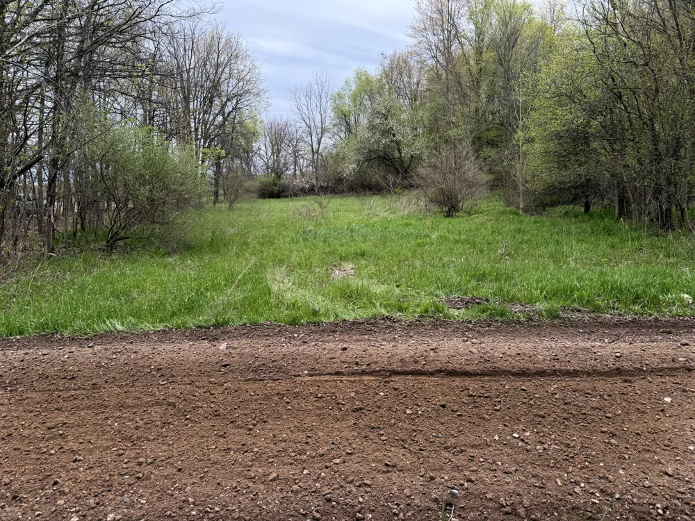 Biggs Avenue NE Lowell, MI 49331
