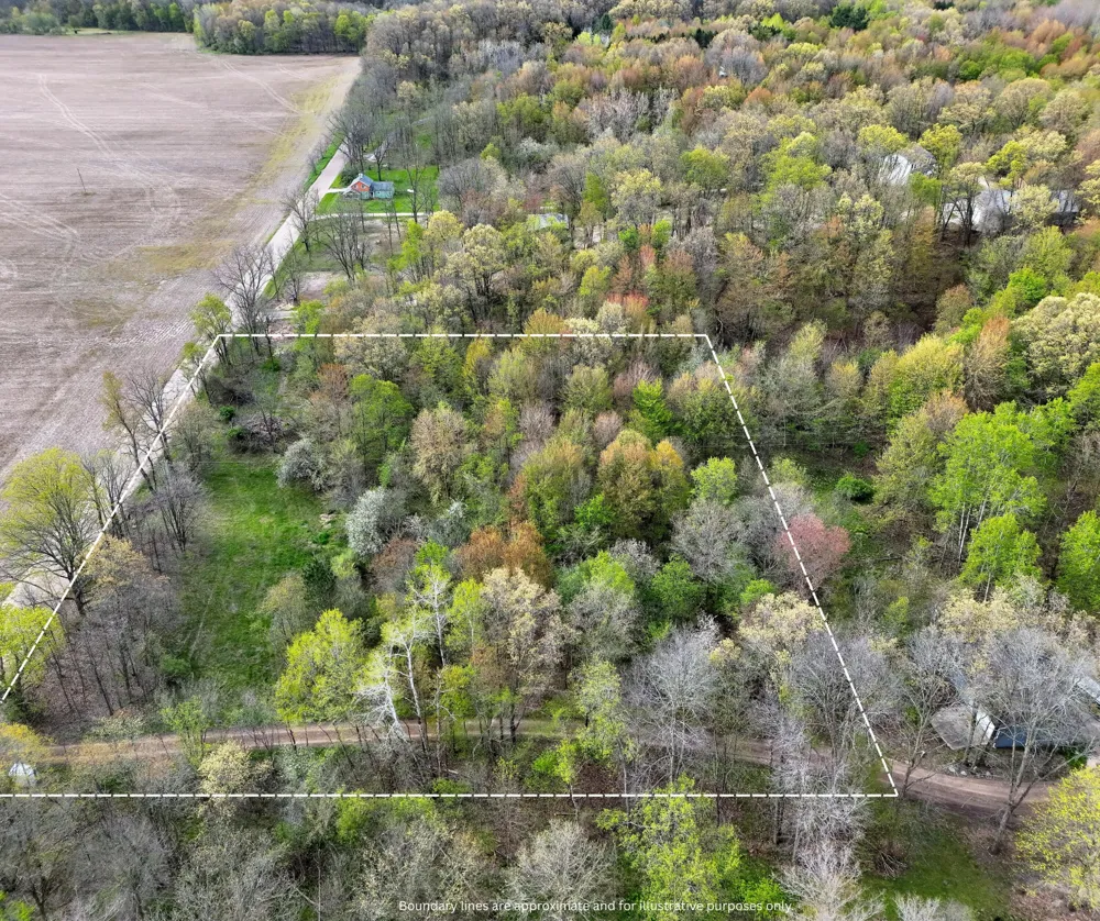 Biggs Avenue NE Lowell, MI 49331