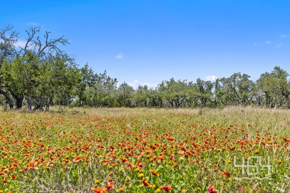 59 Balcones Drive Johnson City, TX 78636