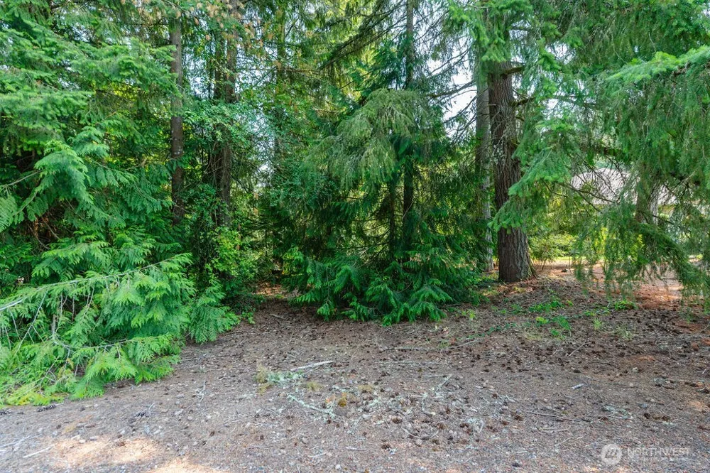 110 Rainier Court Chehalis, WA 98532