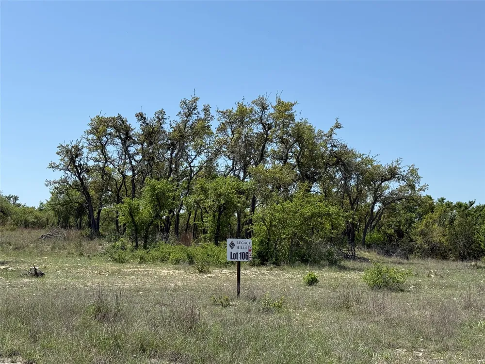 106 E Flying Owl Drive Johnson City, TX 78636