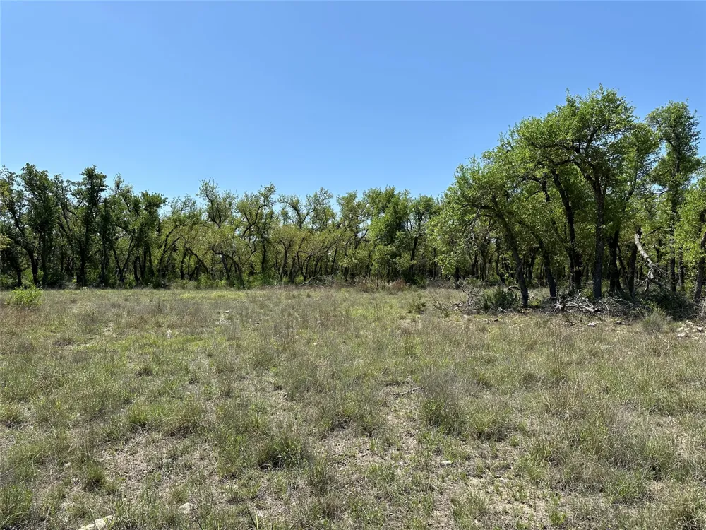 106 E Flying Owl Drive Johnson City, TX 78636
