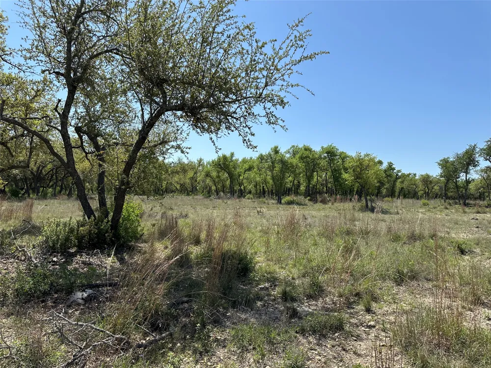 106 E Flying Owl Drive Johnson City, TX 78636