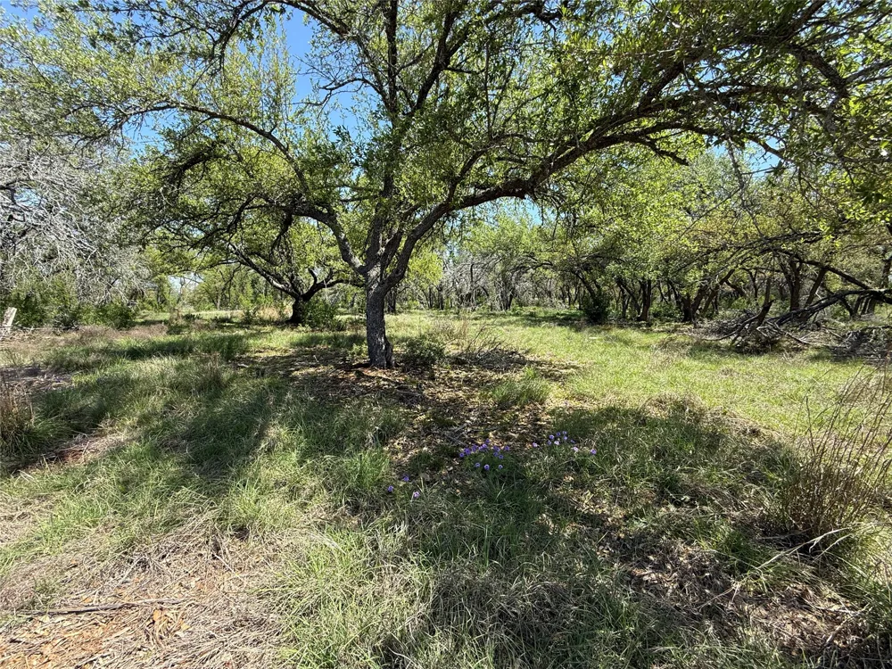 106 E Flying Owl Drive Johnson City, TX 78636