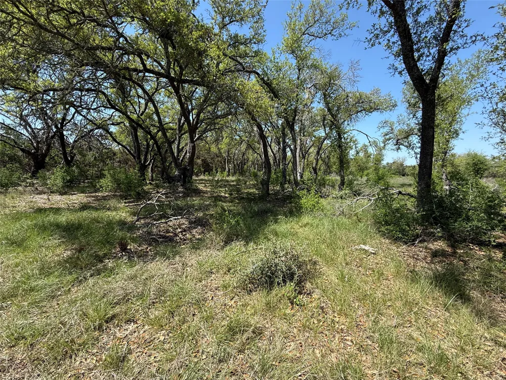 106 E Flying Owl Drive Johnson City, TX 78636
