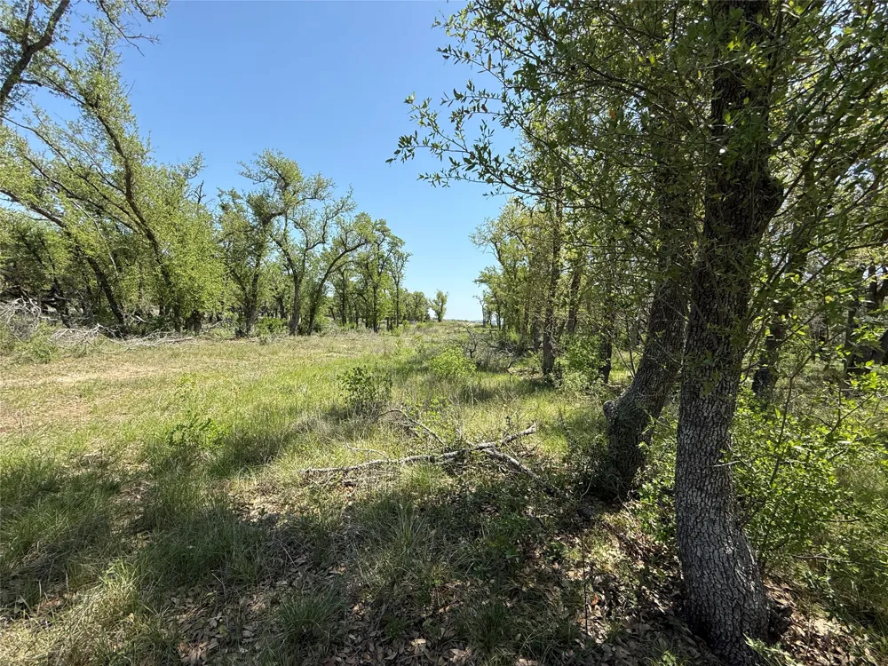 106 E Flying Owl Drive Johnson City, TX 78636
