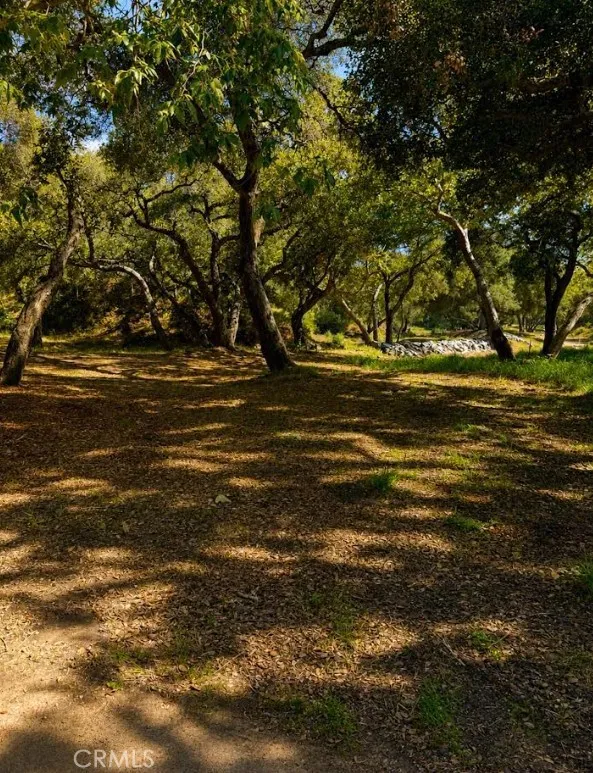 Na Trabuco Trabuco Canyon, CA 92679