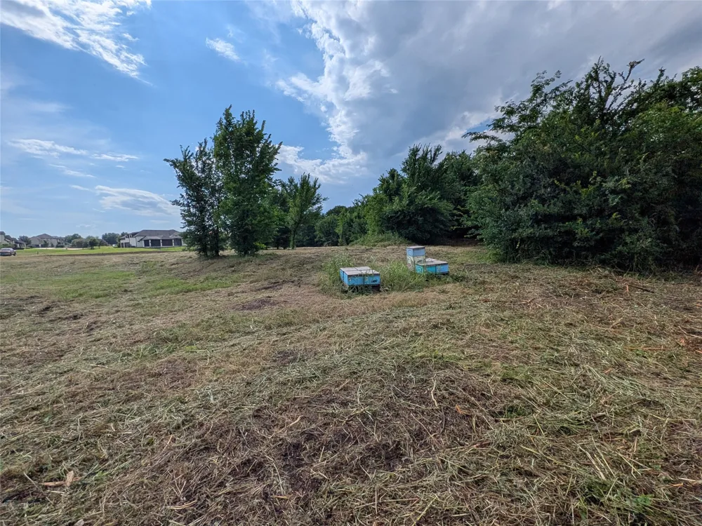 Greenspoint Lane Prosper, TX 75078