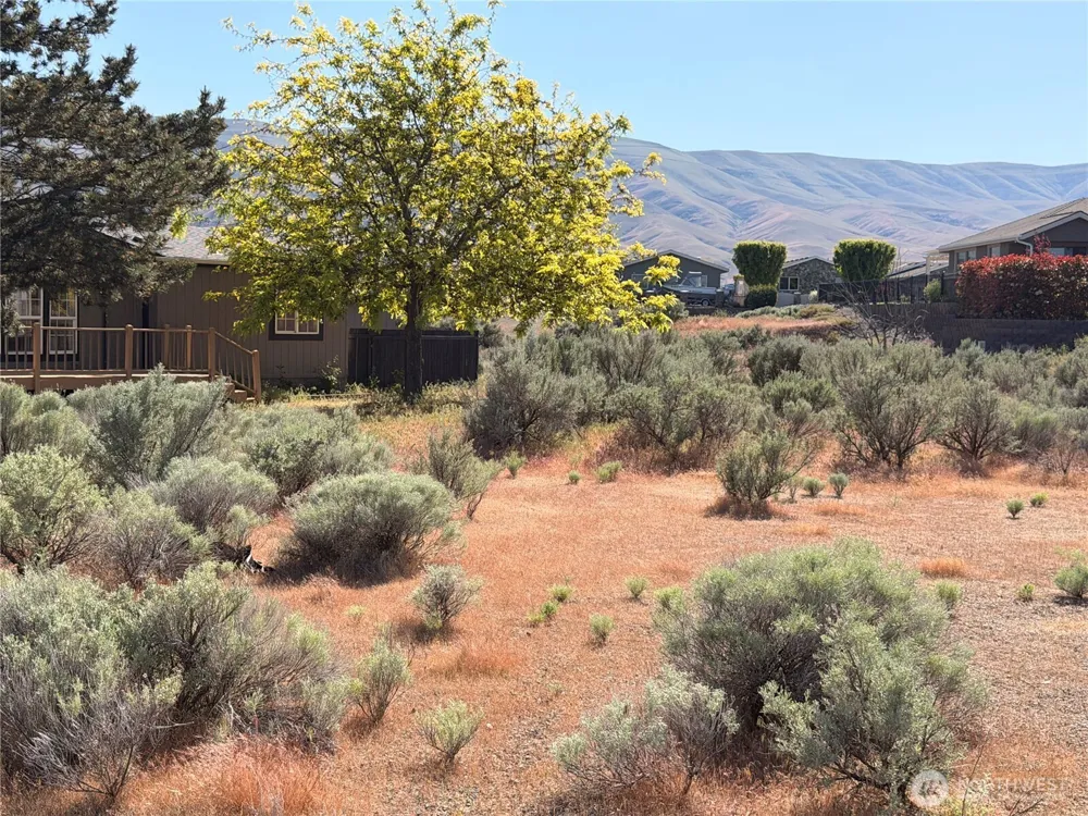 610 Orchard Drive SW Mattawa, WA 99349