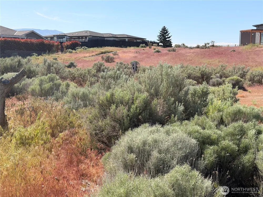 610 Orchard Drive SW Mattawa, WA 99349