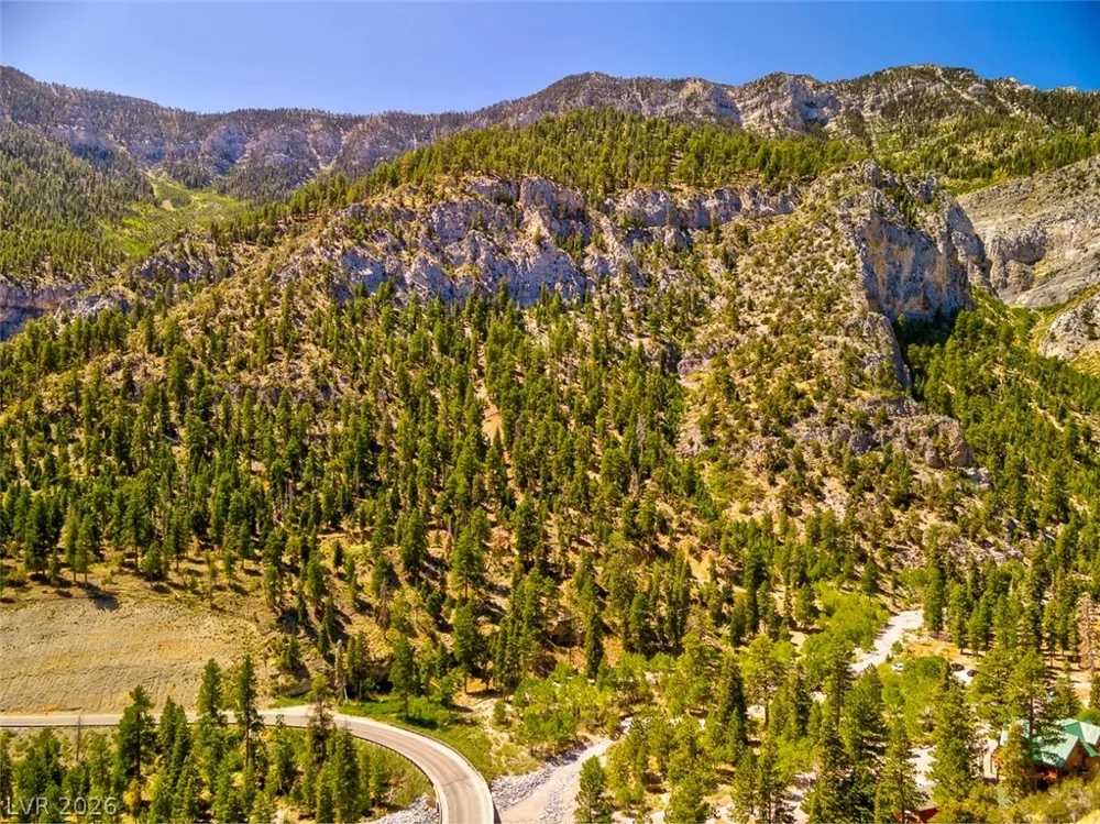 264 Crestview Drive Mount Charleston, NV 89124