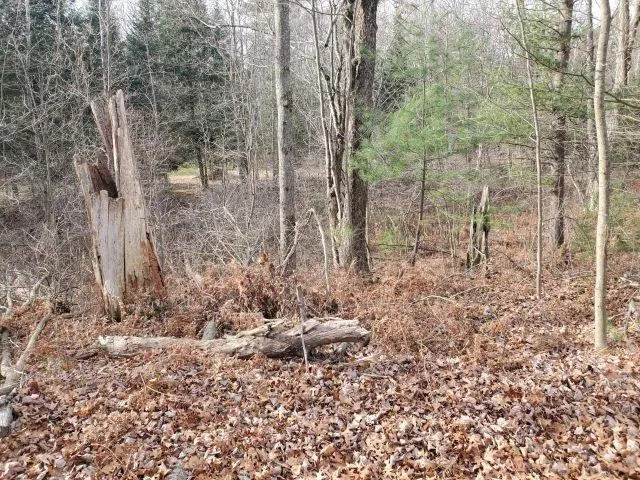 2030 George Street Mills Township, MI 48756