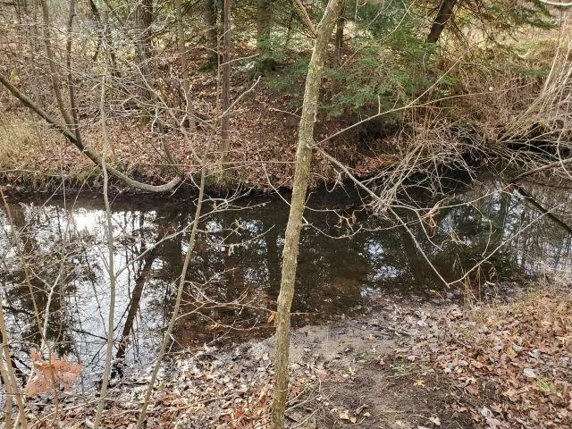 2030 George Street Mills Township, MI 48756