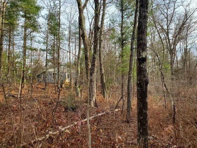 2030 George Street Mills Township, MI 48756