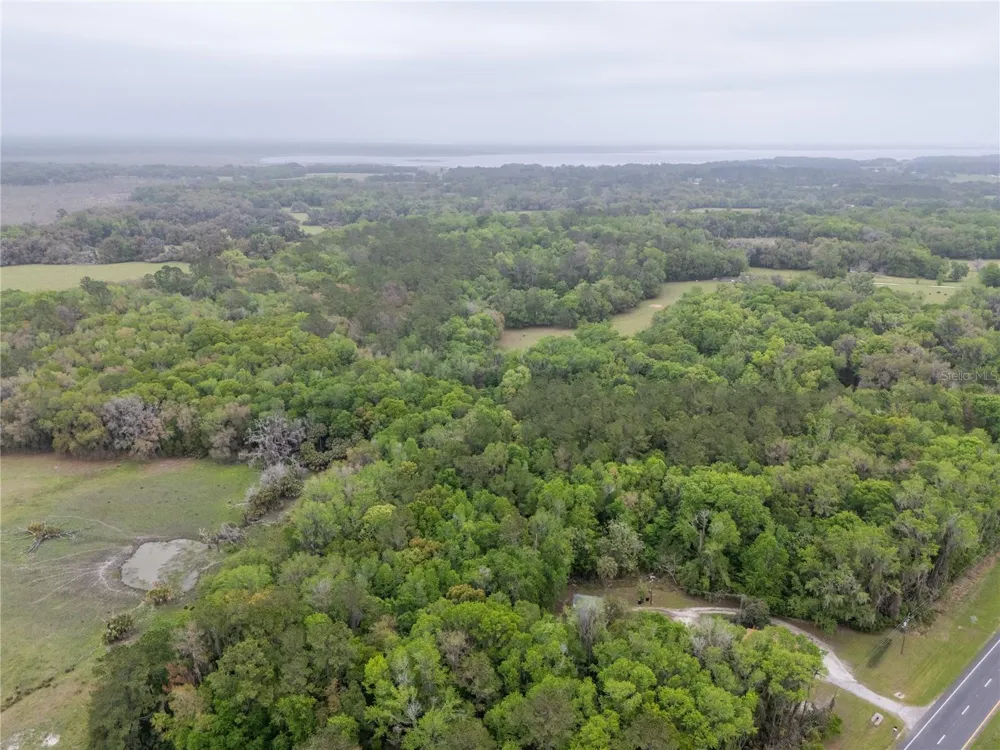 17819 SR-25 Micanopy, FL 32667