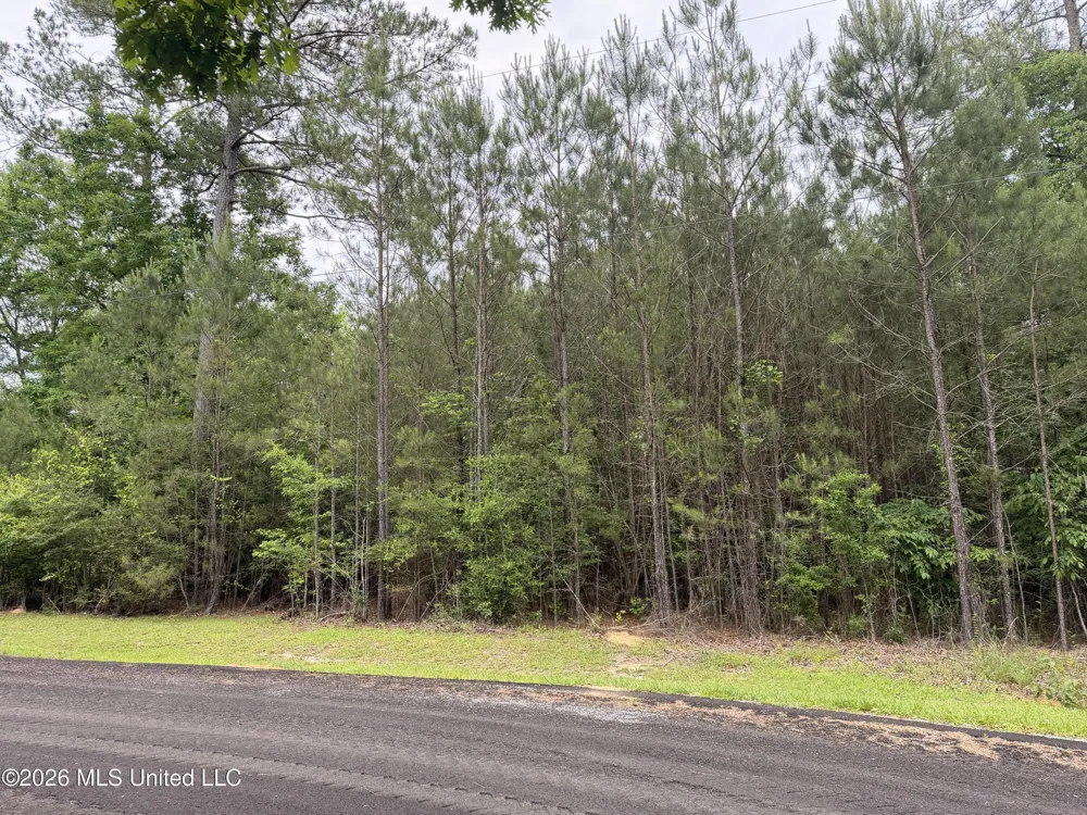 Claudette Ln Mccomb, MS 39648