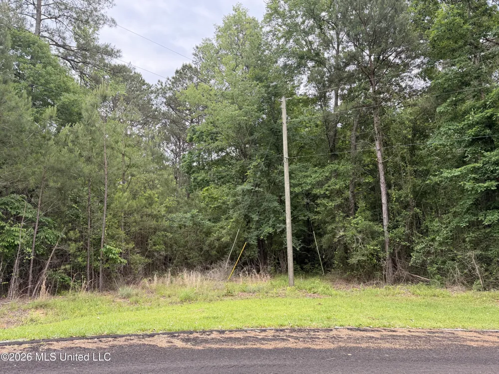 Claudette Ln Mccomb, MS 39648