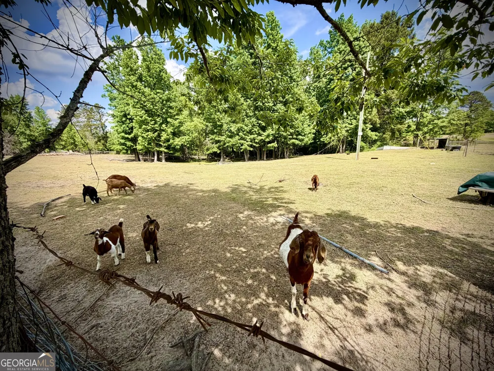 629 Bobby Fortner RD Kite, GA 31049