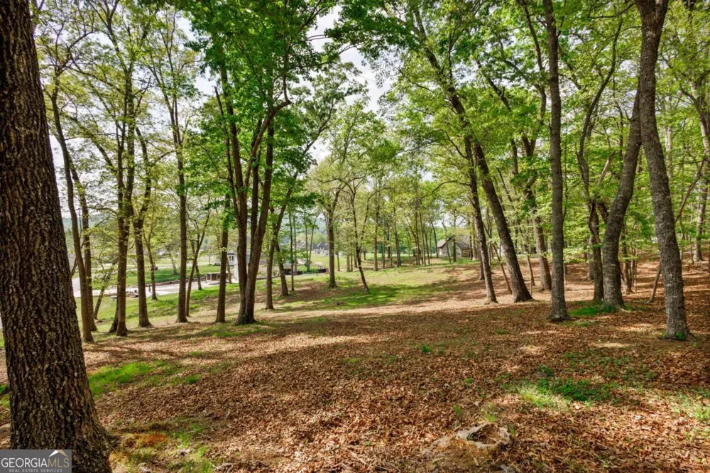 LOT 29 Open Water LN Blairsville, GA 30512
