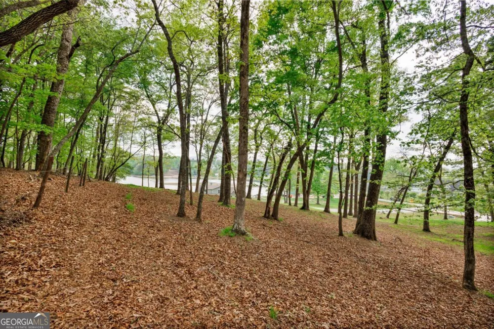 LOT 29 Open Water LN Blairsville, GA 30512